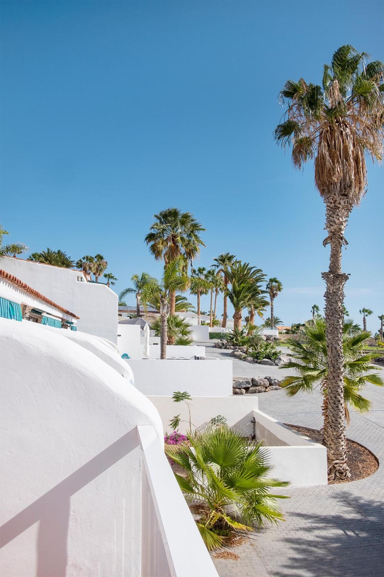 The Club - - Dining - Events San Miguel de Abona